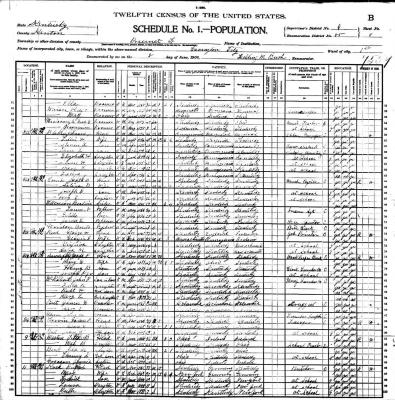 1900 CENSUS FOR STEPHENS L. BLAKELY