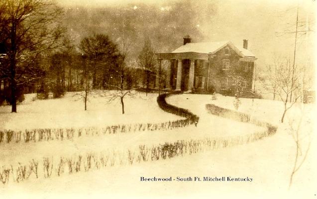 EARLY BEECHWOOD.