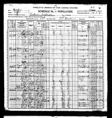 Here is the family of Burwell living in Coffee County from which he filed for his military pension that required his sister, Liffie's affadavit.