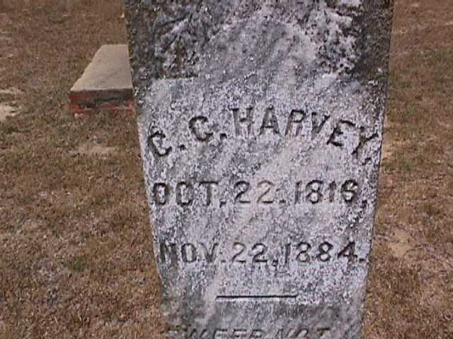 Grave at Macedonia Baptist Church Dodge County Georgia