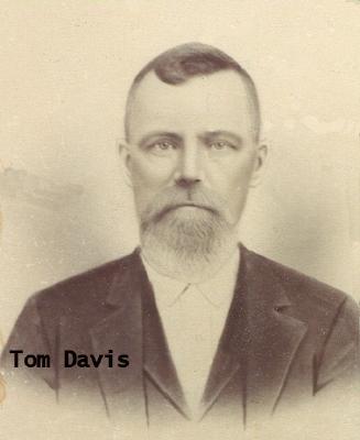 TOM DAVIS