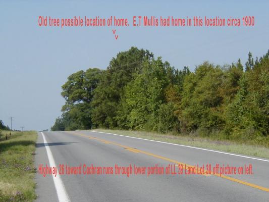 BIG TREE POSSIBLE SITE
OF E.T. MULLIS HOMESTEAD
ON OUCHEE ROAD