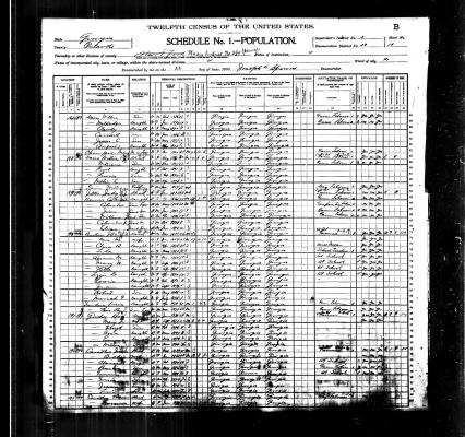 CENSUS 1900
WILLIE ANN DAVIS