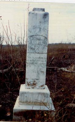 ELIZABETH DAVIS TOMBSTONE